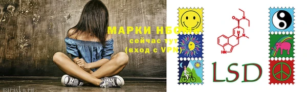 круглые Аркадак