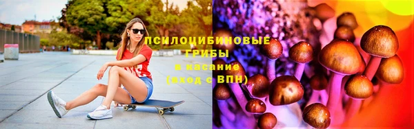 круглые Аркадак