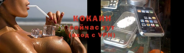 круглые Аркадак
