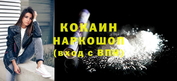 дмт Елизово