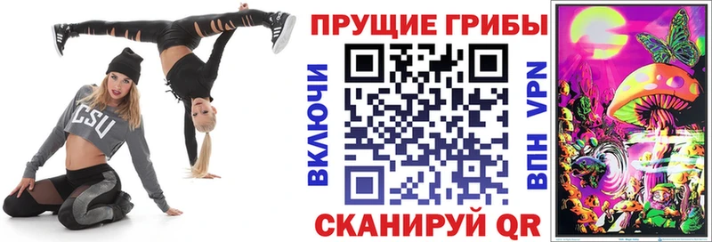 Псилоцибиновые грибы Magic Shrooms где купить наркотик Сретенск